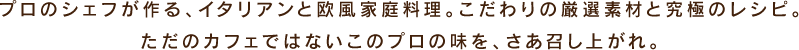 プロのシェフが作る、イタリアンと欧風家庭料理。こだわりの厳選素材と究極のレシピ。ただのカフェではないこのプロの味を、さあ召し上がれ。